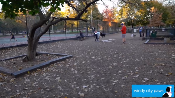 Park No. 551 Dog Friendly Area photo 1